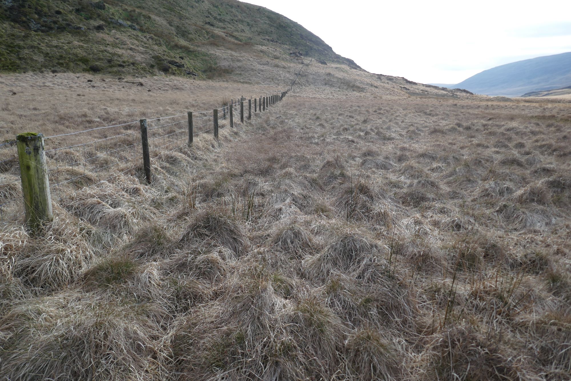 RachelSeabrook.net | Wild Walking | Cwm Gwerin | pic56